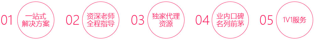 一站式解決方案,資深老師全程指導,代理資源,業內口碑名列前茅,1V1服務